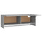 Kledingkast 100x32,5x35 cm bewerkt hout grijs sonoma eikenkleur