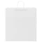 Papieren kraftzakken 250 st met hengsels 45x17x48 cm wit