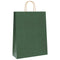 Papieren kraftzakken 50 st met hengsels 32x12x42 cm groen