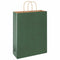 Papieren kraftzakken 50 st met hengsels 32x12x42 cm groen