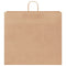 Papieren kraftzakken 250 st met hengsels 54x15x49 cm bruin