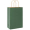 Papieren kraftzakken 50 st met hengsels 21x11x31 cm groen