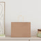 Papieren kraftzakken 50 st met hengsels 32x17x25 cm bruin