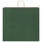 Papieren kraftzakken 50 st met hengsels 54x15x49 cm groen