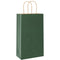 Papieren kraftzakken 50 st met hengsels 21x11x36 cm groen