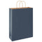 Papieren kraftzakken 250 st met hengsels 32x12x42 cm blauw