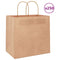 Papieren kraftzakken 250 st met hengsels 26x17x25 cm bruin