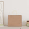 Papieren kraftzakken 250 st met hengsels 32x22x24 cm bruin