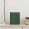 Papieren kraftzakken 250 st met hengsels 18x8x22 cm groen