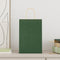Papieren kraftzakken 250 st met hengsels 21x11x31 cm groen