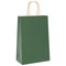 Papieren kraftzakken 250 st met hengsels 21x11x31 cm groen
