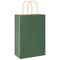 Papieren kraftzakken 250 st met hengsels 21x11x31 cm groen