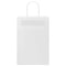 Papieren kraftzakken 250 st met hengsels 21x11x31 cm wit