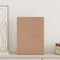 Papieren kraftzakken 50 st met hengsels 32x17x44 cm bruin