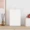 Papieren kraftzakken 250 st met hengsels 21x11x31 cm wit