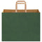 Papieren kraftzakken 50 st met hengsels 32x17x25 cm groen