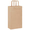 Papieren kraftzakken 50 st met hengsels 21x11x36 cm bruin