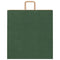 Papieren kraftzakken 50 st met hengsels 45x17x48 cm groen
