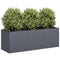 Plantenbak 120x40x40 cm koudgewalst staal antracietkleurig