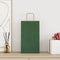 Papieren kraftzakken 50 st met hengsels 21x11x36 cm groen