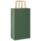 Papieren kraftzakken 50 st met hengsels 21x11x36 cm groen