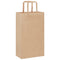 Papieren kraftzakken 250 st met hengsels 21x11x36 cm bruin