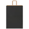Papieren kraftzakken 250 st met hengsels 32x17x44 cm zwart