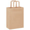 Papieren kraftzakken 250 st met hengsels 21x11x28 cm bruin