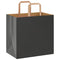 Papieren kraftzakken 250 st met hengsels 26x17x25 cm zwart