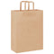Papieren kraftzakken 50 st met hengsels 26x12x35 cm bruin