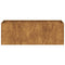 Plantenbak roestig 120x40x40 cm weervast staal