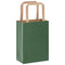 Papieren kraftzakken 50 st met hengsels 15x8x21 cm groen