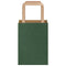 Papieren kraftzakken 50 st met hengsels 15x8x21 cm groen