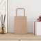 Papieren kraftzakken 250 st met hengsels 15x8x21 cm bruin
