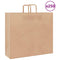 Papieren kraftzakken 250 st met hengsels 54x15x49 cm bruin