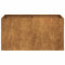 Plantenbak roestig 80x40x40 cm weervast staal