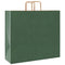 Papieren kraftzakken 50 st met hengsels 54x15x49 cm groen