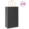 Papieren kraftzakken 250 st met hengsels 21x11x36 cm zwart