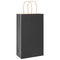 Papieren kraftzakken 250 st met hengsels 21x11x36 cm zwart