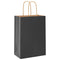 Papieren kraftzakken 250 st met hengsels 15x8x21 cm zwart