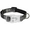 LED-halsband voor huisdieren Trixie Explore USB Zwart S/M 30-45 cm