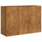 Plantenbak roestig 120x40x80 cm weervast staal