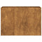 Plantenbak roestig 120x40x80 cm weervast staal