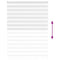 Zebra rolgordijn 165x200 cm stofbreedte 160,9cm polyester wit