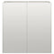 Plantenbak 80x40x80 cm roestvrij staal