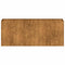 Plantenbak roestig 200x40x80 cm weervast staal