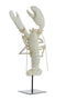 Light&living Ornament op voet 25x14x56,5 cm LOBSTER gebroken wit