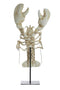 Light&living Ornament op voet 25x14x56,5 cm LOBSTER gebroken wit