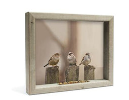 All seasons posters - 3 mussen op paal 41x34 (M)