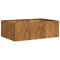 Plantenbak roestig 120x80x40 cm weervast staal